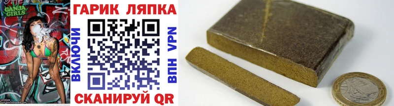 как найти наркотики  Почеп  Гашиш индика сатива 