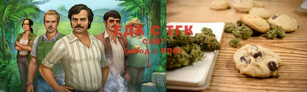 индика Абинск