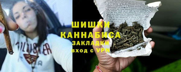 индика Абинск