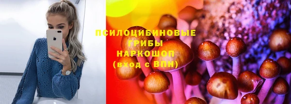 Альфа ПВП Абаза