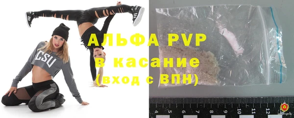 индика Абинск