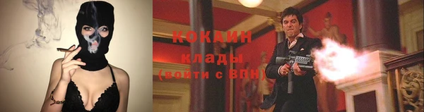 индика Абинск