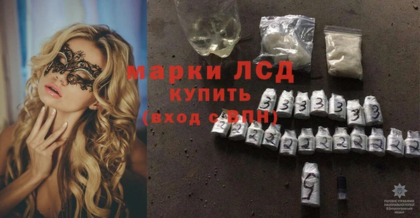 индика Абинск