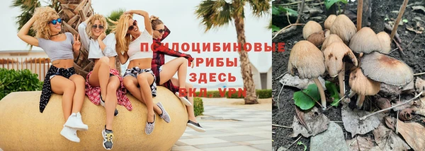 Альфа ПВП Абаза