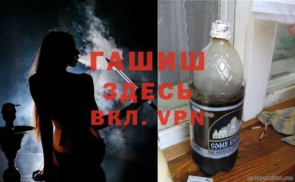 индика Абинск