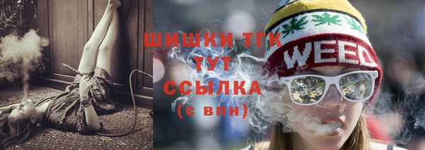 индика Абинск