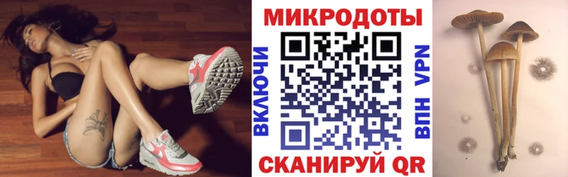 Псилоцибиновые грибы ЛСД  продажа наркотиков  МЕГА онион  Почеп 